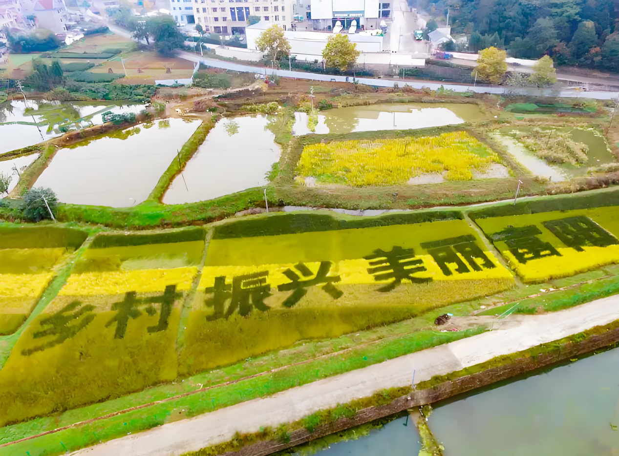 多渠道再提升保障农村饮用水安全工程2019年项目第三批—银湖街道沈家坞村标准化泵房项目